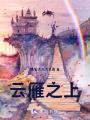 云雁之上