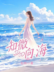 知微向海（沈知微陆知衍）小说阅读，最新章节无删减