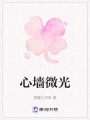 心墻微光