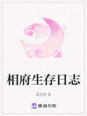 相府生存日志