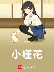 小槿花