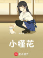 小槿花