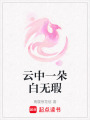 云中一朵白無瑕