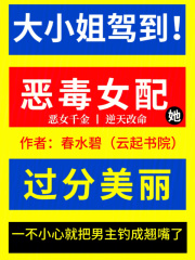 惡毒女配她過分美麗
