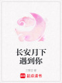 長(zhǎng)安月下遇到你