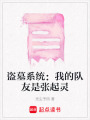盜墓系統：我的隊友是張起靈