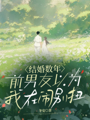 结婚数年，前男友以为我在闹别扭宋晴江辞小说，结婚数年，前男友以为我在闹别扭在线章节试读