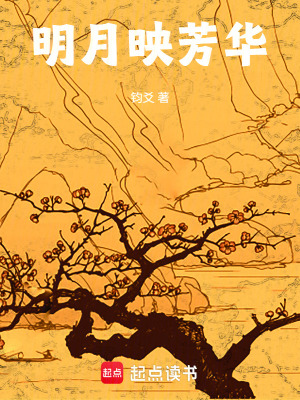 明月映芳華