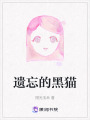 遺忘的黑貓