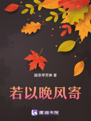 若以晚風寄