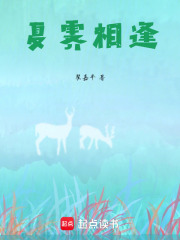 夏霽相逢