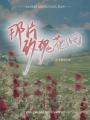 那片玫瑰花田