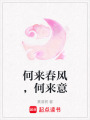 何來春風(fēng)，何來意