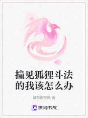 撞見狐貍斗法的我該怎么辦