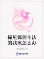 撞見狐貍斗法的我該怎么辦