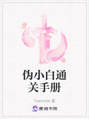 偽小白通關(guān)手冊(cè)