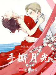 手撕月光