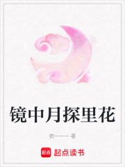 鏡中月探里花