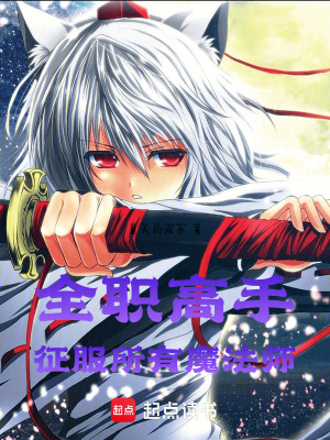 全職高手，征服所有魔法師