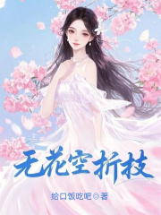 在线阅读无花空折枝谢云枝韩启铮小说章节目录大结局