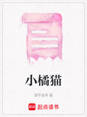 小橘貓