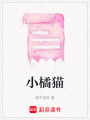 小橘貓