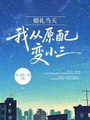 已完结小说《婚礼当天，我从原配变小三》在线免费阅读