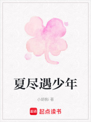 夏盡遇少年