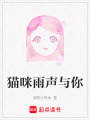 貓咪雨聲與你