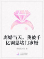 離婚當天，我被千億霸總堵門求婚