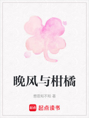 晚風與柑橘