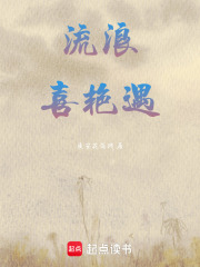 流浪喜艷遇