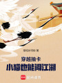 穿越抽卡，小貓也能闖江湖