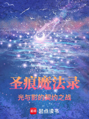 圣痕魔法錄：光與影的契約之戰