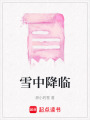 雪中降臨