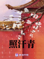 照汗青
