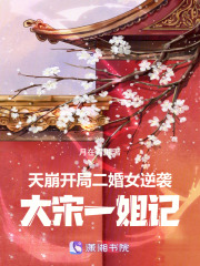 大宋一姐記