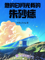 他的白月光，我的朱砂痣