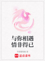 與你相遇情非得已