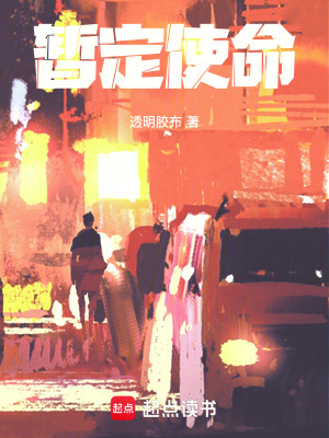 暫定使命