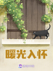 暖光入懷