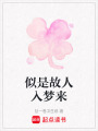 似是故人入夢來