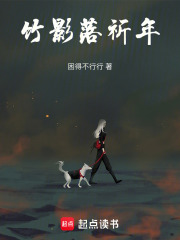 竹影落祈年