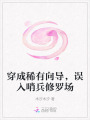 穿成稀有向導，誤入哨兵修羅場