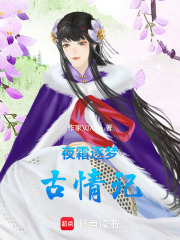 夜霜逐夢古情記
