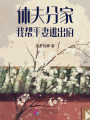 休夫分家，我幫平妻逃出府
