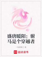 盛唐暖陽：駙馬是個穿越者