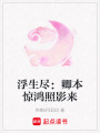 浮生盡：卿本驚鴻照影來