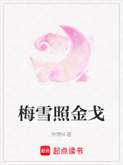 梅雪照金戈