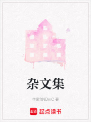 雜文集